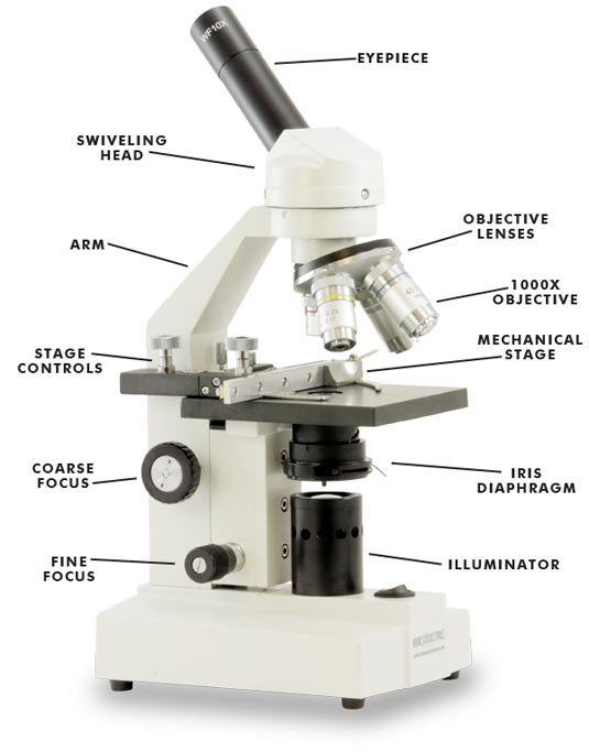 Parts Of A Microscope For Kids